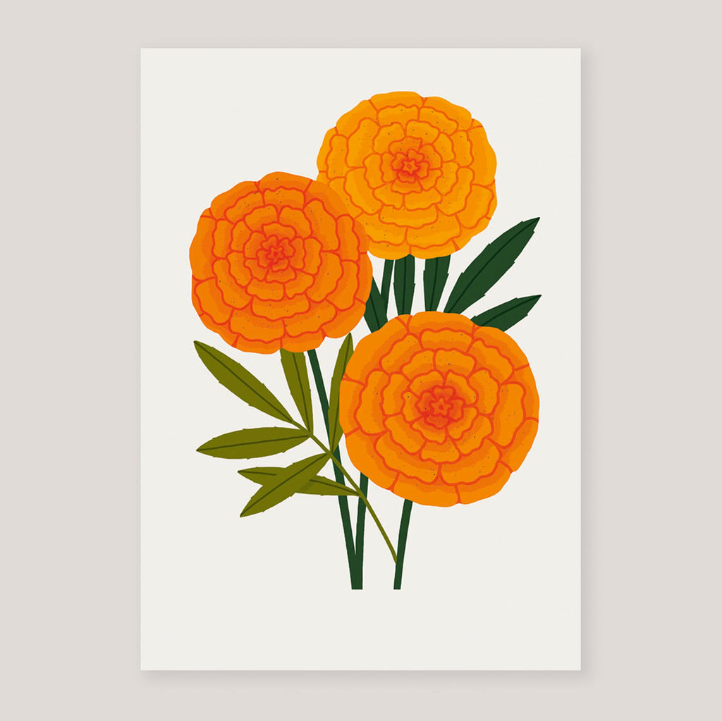Marigold A3 Print | Sarah Abbott