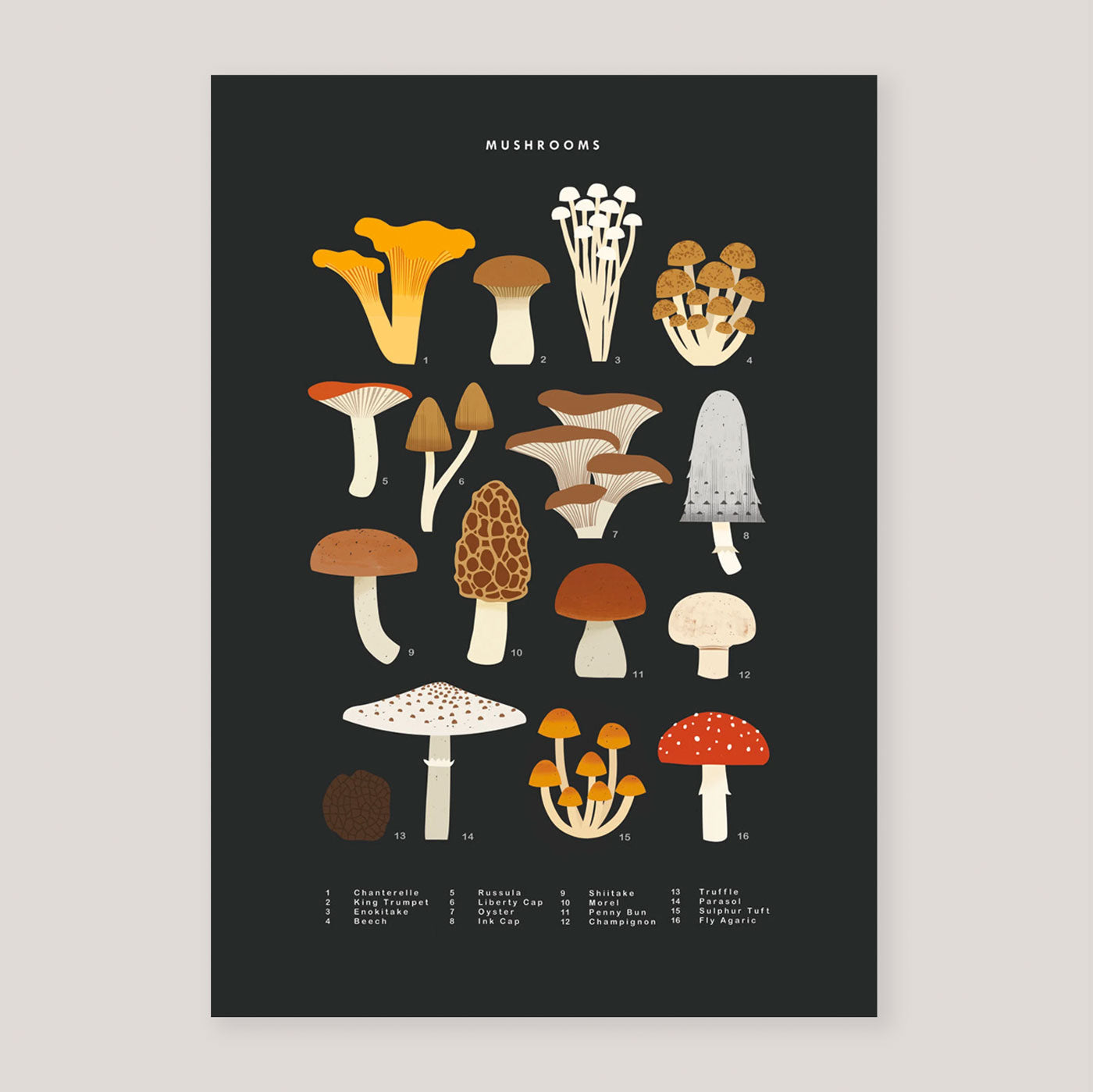 Mushrooms A3 Print | Sarah Abbott