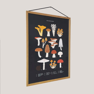 Mushrooms A3 Print | Sarah Abbott