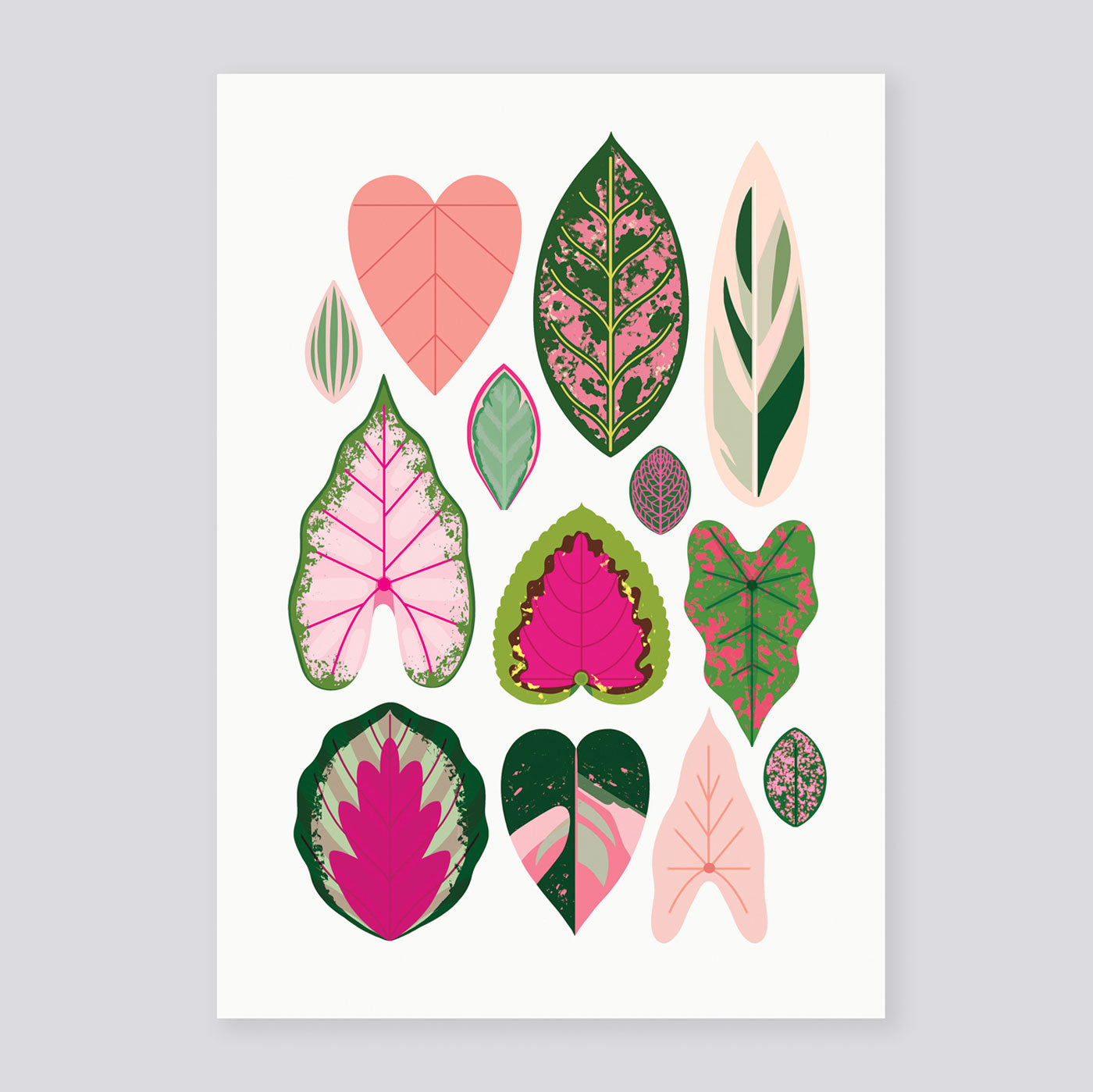 Pink Leaves A3 Print | Sarah Abbott | Colours May Vary 