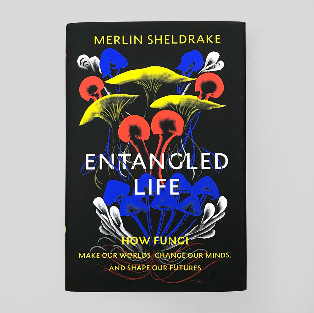 Entangled Life | Merlin Sheldrake (Paperback)