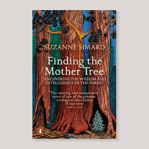 Finding the Mother Tree | Suzanne Simard