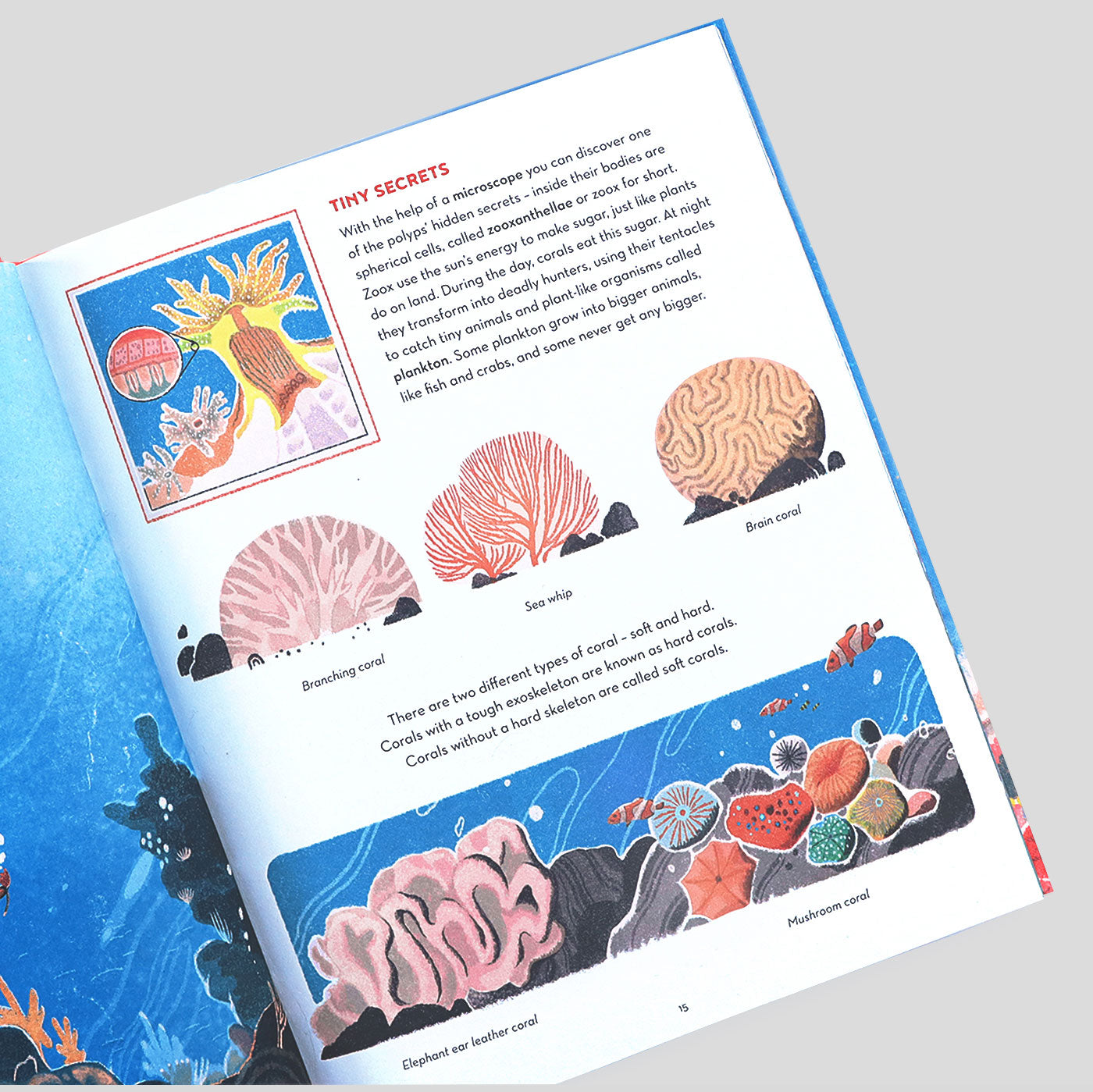 The Great Barrier Reef | Helen Scales & Lisk Feng