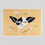 Hana by Tom Bingham for Year Of The Dog